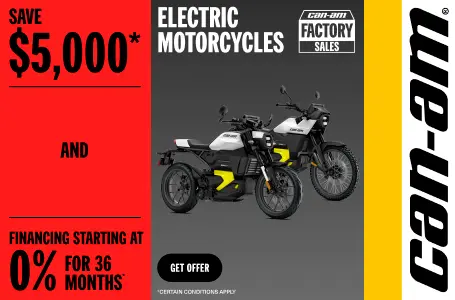 Read more about the article All MY25 motorcycles